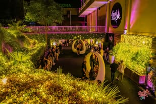 Single Love Sábado 14.06.2025